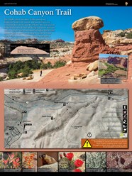 Everything To Know About Capitol Reef National Park National Geographic